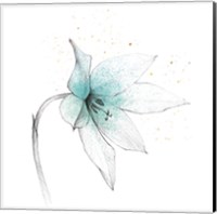 Framed 'Teal Graphite Flower VIII' border=