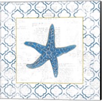 Framed 'Navy Starfish on Newsprint with Gold' border=
