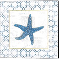 Framed Navy Starfish on Newsprint with Gold