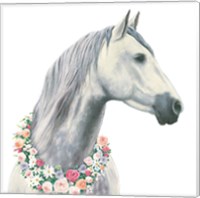 Framed 'Spirit Stallion I Square' border=