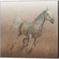 Framed 'Stallion I on Leather' border=