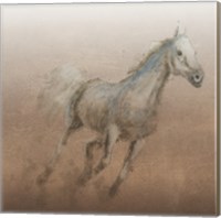 Framed 'Stallion I on Leather' border=