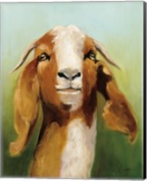 Framed Got Your Goat