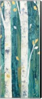Framed Birches in Spring Panel II