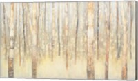Framed Birches in Winter