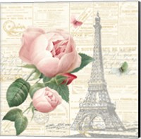 Framed 'Roses in Paris IV' border=