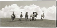 Framed Herd of Wild Horses (BW)