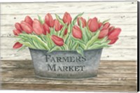 Framed Farmer's Market Tulips