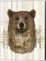 Framed Bear Wilderness Portrait