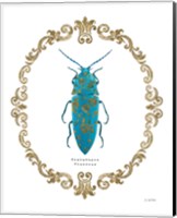 Framed Adorning Coleoptera VIII