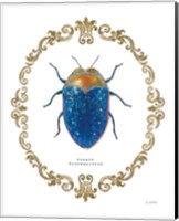 Framed Adorning Coleoptera V