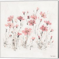 Framed 'Wildflowers III Pink' border=