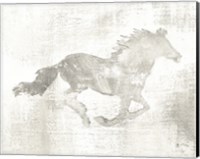 Framed Mustang Study Neutral