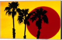 Framed 1990S 3 Silhouetted Palm Trees