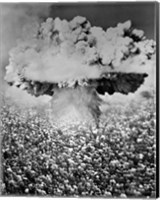Framed 1950s 1960s Atomic Bomb Symbolic Montage