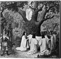 Framed Illustration Of Druid Priests