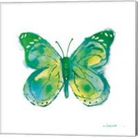 Framed Birdsong Garden Butterfly I on White