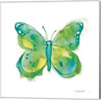 Framed Birdsong Garden Butterfly II on White