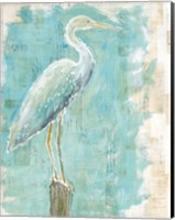 Framed Coastal Egret I