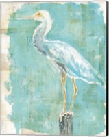 Framed Coastal Egret II