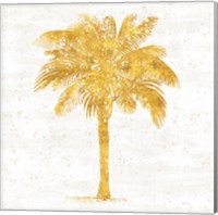 Framed Palm Coast II On White