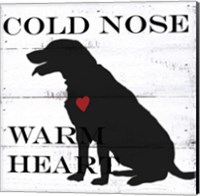 Framed Cold Nose