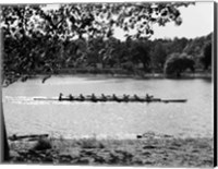 Framed 1930s Silhouette Sculling Boat Race