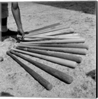 Framed 1950s Baseball Player Selecting A Variety Of Bats