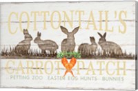 Framed Cottontail's Carrot Patch