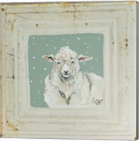 Framed White Sheep