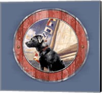 Framed Sea Faring Dog