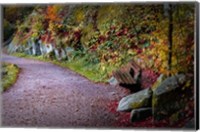 Framed Black Forest Path