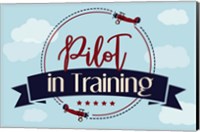 Framed Pilot in Training