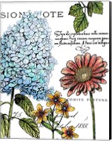 Framed Botanical Postcard Color I