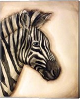 Framed Zebra Portrait
