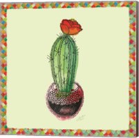 Framed Rainbow Cactus I