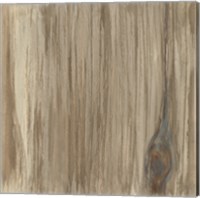 Framed Wood Panel IV