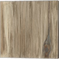 Framed Wood Panel IV