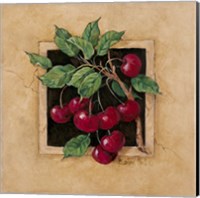 Framed 'Cherry Square' border=