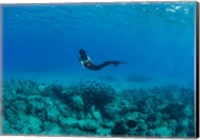 Framed View of Mermaid Swimming Undersea, Hawaii