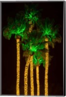 Framed Illuminated Palm Trees at Dana Point Harbor, California