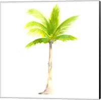 Framed Tropical Icons Palm Tree