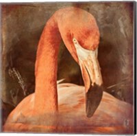 Framed Flamingo Masquerade