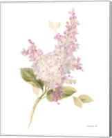 Framed Floursack Florals on White VI