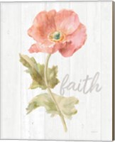 Framed 'Garden Poppy on Wood Faith' border=