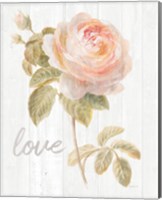 Framed 'Garden Rose on Wood Love' border=