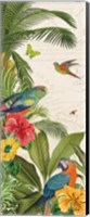 Framed Parrot Paradise VI