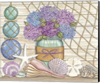 Framed Hydrangea & Seashells