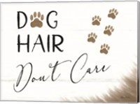 Framed Dog Hair, Don't Care