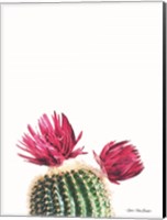 Framed Flowered Cactus